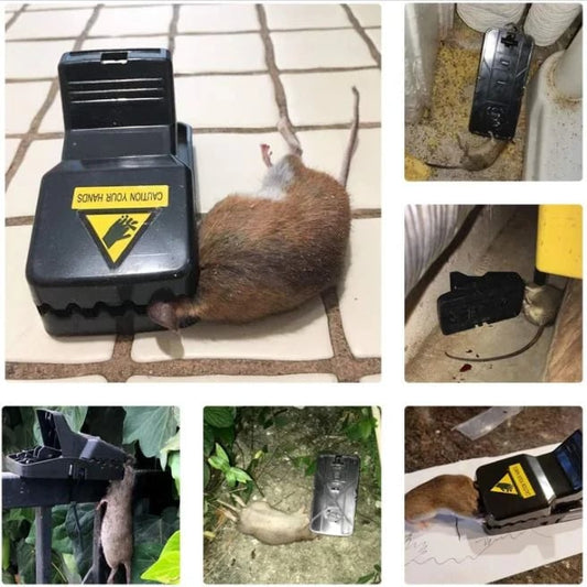 🔥Bardzo czuła, wielokrotnego użytku pułapka na myszy🌙