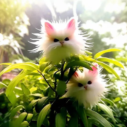 🌱Awesome Plants! 🐱💐Dazzling Cat's Eye Flower Seeds