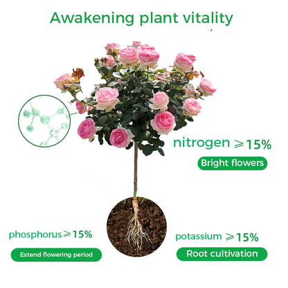 🌱Proszek przyspieszający kwitnienie | Szybki wzrost korzeni + większe kwiaty!🌸