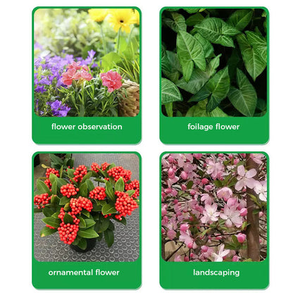 🌱Proszek przyspieszający kwitnienie | Szybki wzrost korzeni + większe kwiaty!🌸
